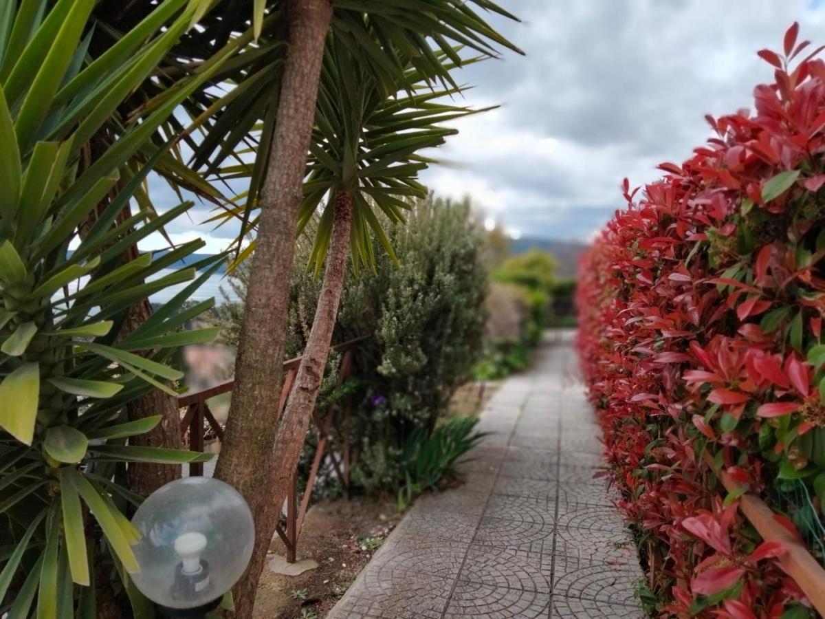 Sguardo Sul Lago Trevignano Romano Ngoại thất bức ảnh